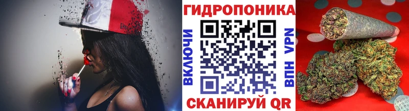 Канабис план Чулым